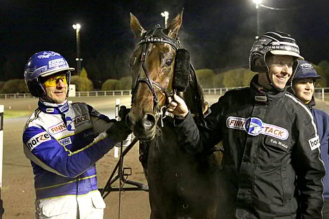 Mr Stahl  on Ville Mäkelän (oik.) laatutallin yksi kovimmista. Nelivuotias ei ole kaukana ikäluokan kärjestä.