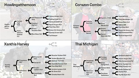 Hevosurheilu vertaili kolmevuotisklassikon voittajien sukuja.