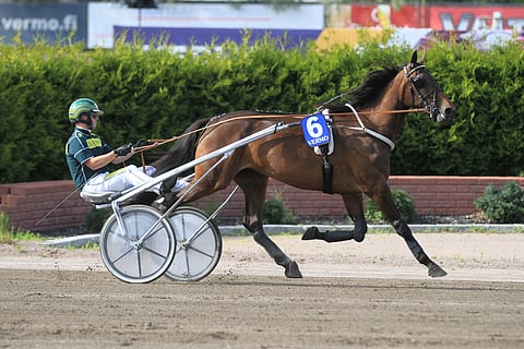 Hannu Torvinen ohjasti Marier Milin avausvoiton juhannusviikolla Vermossa.