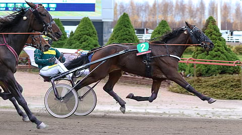 Huutokauppalöytö Williamsburg on loistokunnossa.