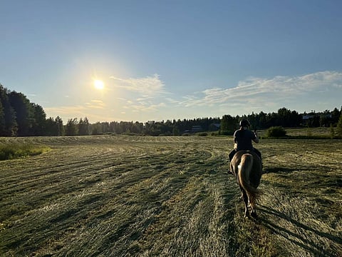 Kolumni: Kauden loppusummaus