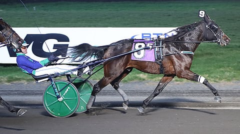 Volume Eight huipensi kautensa viidenteen peräkkäiseen voittoon lauantaina Meadowlandsissa. Kuva: