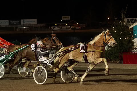 Elan on pitkällä askeleella varustettu ruuna. Sille sopii hyvin Turussa juostava kolmen kierroksen rutistus. 