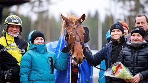 Rekilammen Saulin tärkeitä ihmisiä ovat ohjastaja Henri Bollström, osa-omistaja Eija Ala-Vannesluoma, hoitaja Kaisa Tamminen ja osaomistaja Maija Ala-Vannesluoma (oik).