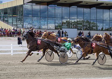 Kuopiossa ravataan 25.11. pikkujouluravit.