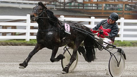 Björkeviking on kyydissä istuvan Antti Isomaan valmennuksessa löytänyt huippuvireen otteisiinsa. Lauantaina kyytiin hyppää tuttu mies Ville Koivisto.