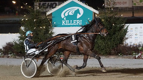 Tuukka Variksen ajama Wiliam Way hallitsi selvällä erolla Killerin loppusuoralla. 