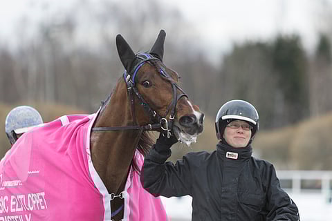 Sign Of Secret on kilpaillut koko uransa Anne Takapuron tallista käsin.