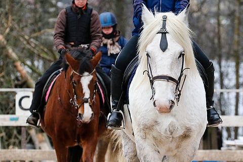 Ratsastuskoulutuntien arvonlisäverokohtelu on aiheuttanut huolta.