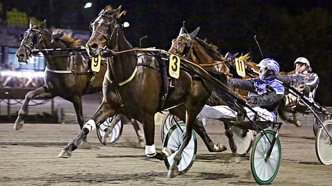 Daddy Boy voitti viimeksi 21.9. mailin aikaan 12,3aly.