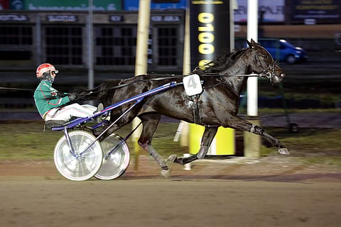 Marjo Lindström rakensi King Colelle Suomessa hyvät pohjat.