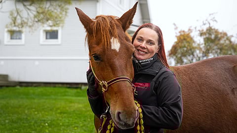 Henna Viikilä kasvattaa myös suomenhevosia. Kuvan Sirjaliina on monitoimihevonen, se tekee varsoja ja toimii tuntikäytössä.