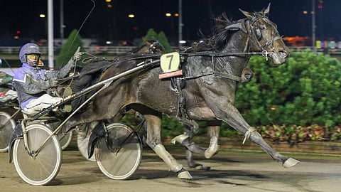 The Dude sai viime startin voitossaan tämän vuoden tienisteissä jo yli 10 000 euroa rikki.