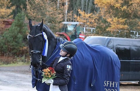 Barokkimestaruuksista ei löydetty sopua – Salminen voitti friisiläismestaruuden Jebina van Vitikkalalla