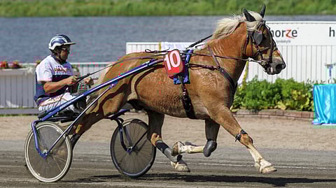 Merran Jyske oli viime startissaan toinen ja sitä edellisellä kerralla kolmas. Olisiko seuraavaksi vuorossa voitto?