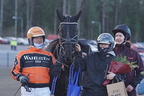 Sahara Commander voitti 2-vuotiaiden Kasvattajakruunun Jyväskylässä marraskuussa 2022.