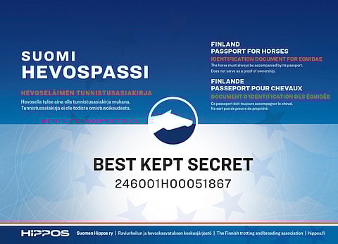 Tältä uudet hevospassit tulevat näyttämään.