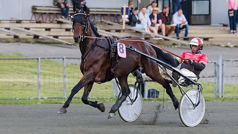 Cash Maker on kovassa kunnossa.