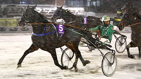 Viimeksi 7.12. keulasoololla voittanut Bolt Kronos on oiva valinta ideavihjeen varmaksi.