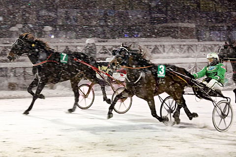 Time Match torjui lumisateen keskellä ulkoa kirineen Grainfield Aidenin ohitusyrityksen. Voitto irtosi ajalla 17,3pi.