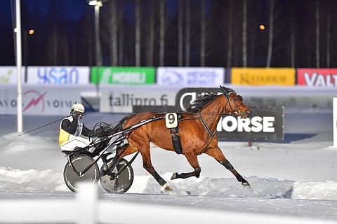 Ilos Sansibaria ohjastanut Iikka Nurmonen nosti kätensä pystyyn voiton merkiksi.