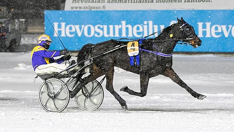 Sergio Leone toi Kari Venäläiselle ohjastajana uran 991. voiton. 