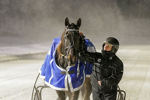 Suvi Himanka ja Skyfall Shine 10. joulukuuta 2022.