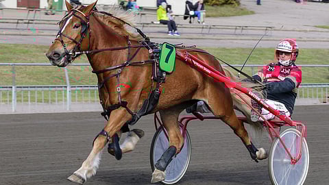 Tapio Perttusen Marannalla on paljon takamatkaa, mutta tehtävä on silti sopiva.