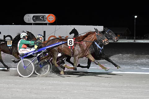 The World Is Minen tyylinäyte Nikulasta.