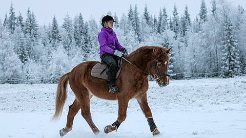 Sorea ja Leena Korpi.