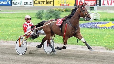 Goodtimes ja David Wall Elitloppetissa 1999.