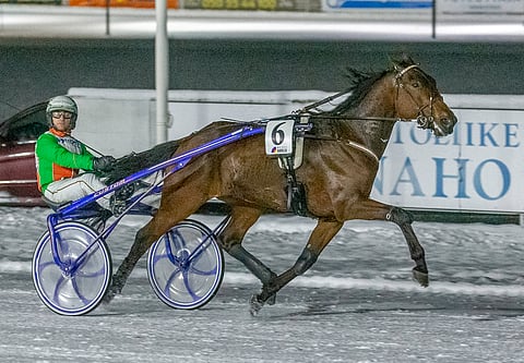 Xeven Leader osaa voittaa.