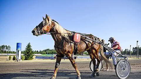 Satasen Onni ja Lasse Huttunen nousevat lauantaina mahdollisesti päärooliin maamme pääradalla Vermossa.