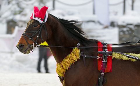 Jouluna Suomessa ei ravata, eikä posti kulje.