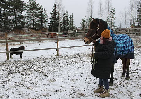 Päivi Kinnunen kuvaa Armas Aikamoisen olevan hyvällä itsetunnolla varustettu varsa, jolla on pilke silmäkulmassa. Hän tunnistaa sen olemuksessa myös paljon isänisä Lerkkanaa.