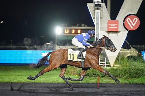 Fighter Kissin ylivoimaa Vincennesissä.