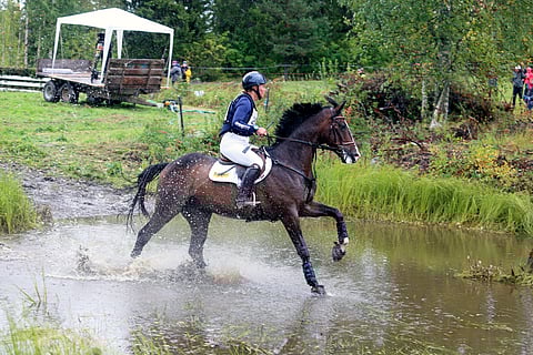 Sanna Siltakorpi ja Bofey Click hakevat toimivaa systeemiä. 