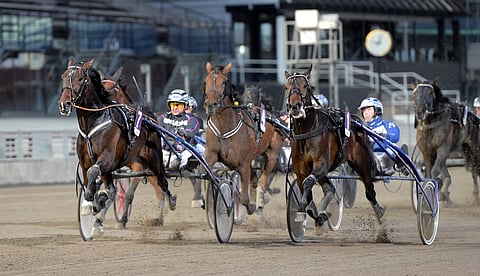 Graham Hillin (7) tyylinäyte 3-vuotiskeväältä Solvallasta.