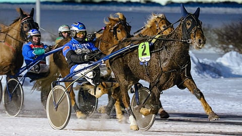 Hurman Vieskerin kyvyt riittävät voittoon ruuanan ravatessa.