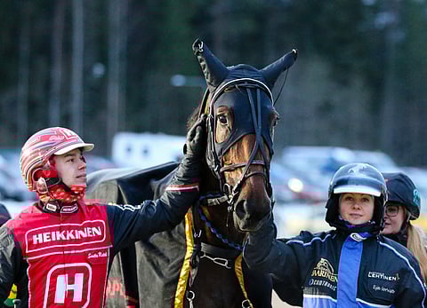 Santtu Raitala ajamaa ja Eija Sorviston valmentamaa Moonlight Velvetiä juhlittiin Kasvattajakruunun voittajana Killerillä marraskuussa 2020.