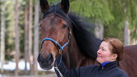 Tanja Soukka ja Camden Town