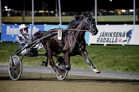 Austin muutti Heikki Mikkosen omistukseen ja valmennukseen Ruotsista keväällä 2021.