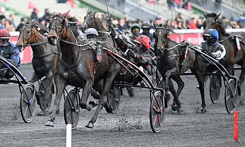 Delia du Pommereux voittaa ja Pierre Yves Verva iloitsee.