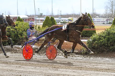 Chestnut Hill kilpaili Porin T75-raveissa viime huhtikuussa sijoittuen kolmanneksi,