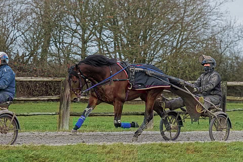 Täältä tullaan, rennon viileästi. Idao de Tillard treenaa kotonaan Ferté-Frenelissä.  