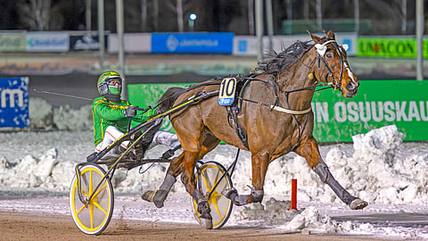 Isto Kuisman tallin Amour Amiko eteni Jukka Torvisen ajamana ykköseksi tuloksella 15,3a/2100 metriä.