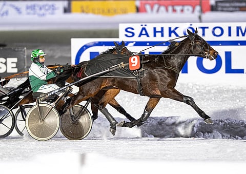 Consalvon pikkuveli Niky Boy otti uransa ensimmäisen voiton Kuopiossa. Janne Räisänen ohjasti.