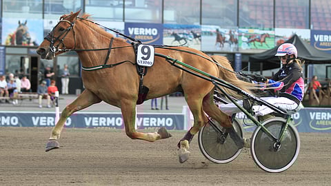 Dzingel voitti viime starttinsa keulasoololla ja on nyt Vermon ideavihjeen varma.