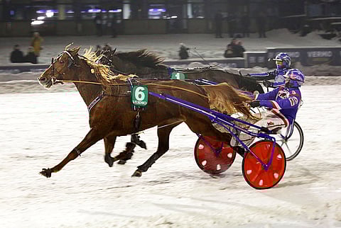 Laukan jälkeen Rarity Red kiri Turussa kolmanneksi. Ruuna ansaitsee toisen mahdollisuuden ideavihjeen varmana.