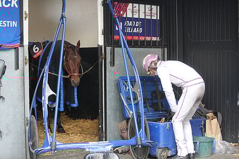 Idao de Tillard ja Theo Duvaldestin, joka ajaa tallin toista hevosta Flamme du Goutieria. 
